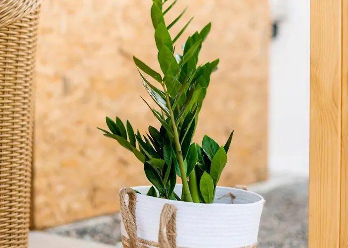 Eleni アパート Soroni