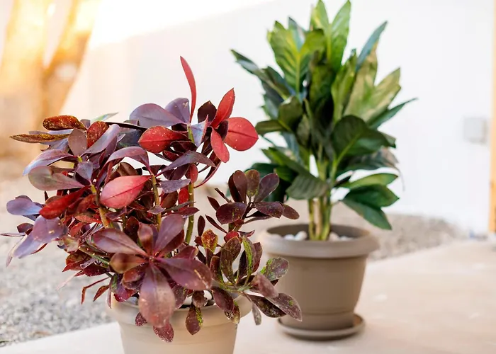 Apartment Eleni Soroni