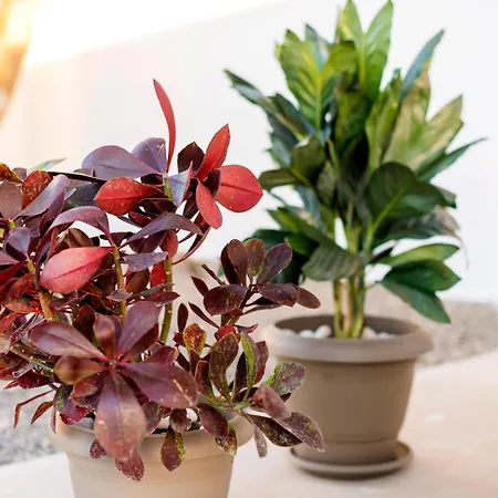 Appartamento Eleni Soroni