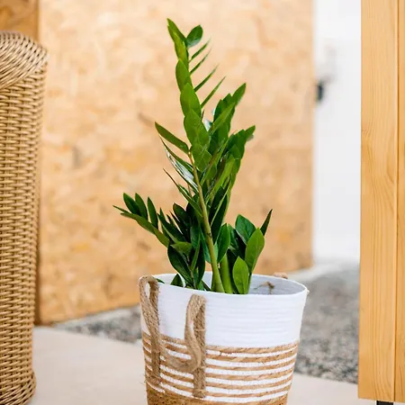 Eleni Appartamento Soroni